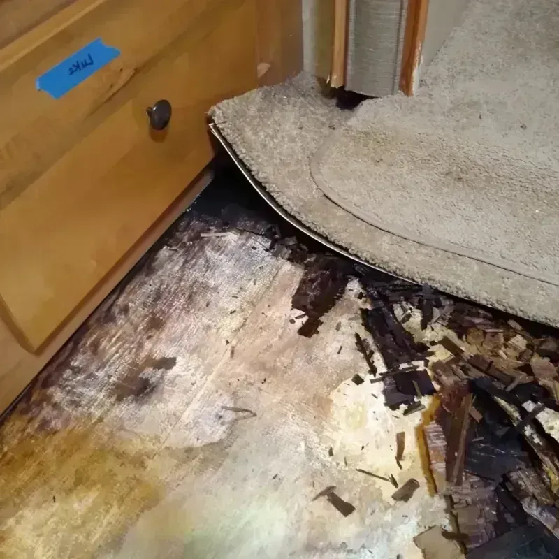 Wood Floor Water Damage in Mishicot, WI